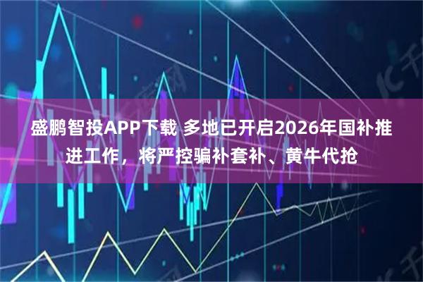 盛鹏智投APP下载 多地已开启2026年国补推进工作，将严控骗补套补、黄牛代抢